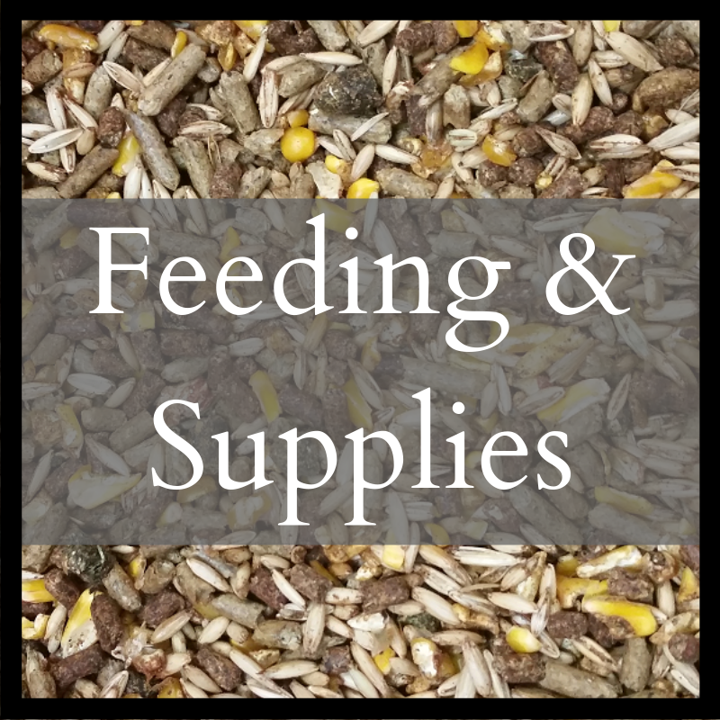 Feeding &amp; Supplies