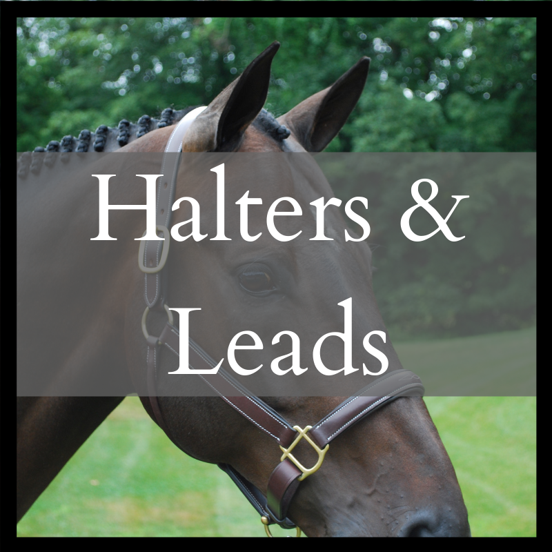 Halters &amp; Leads