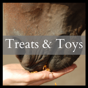 Treats & Toys