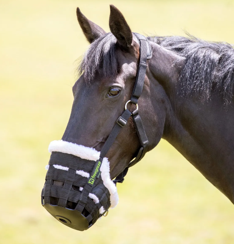 Grazing muzzle outlet