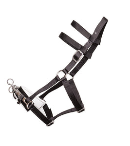 Lunging Halter with Nylon Webbing
