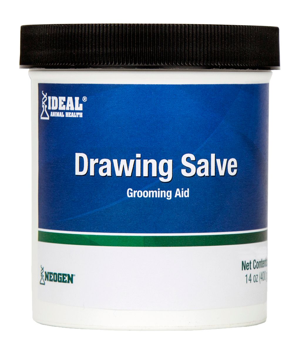 Drawing Salve Grooming Aid