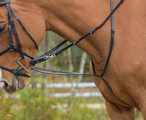 German Martingale Set