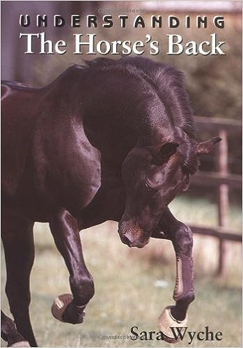 Understanding The Horse's Back - Sara Wyche