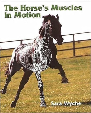 The Horse's Muscles in Motion - Sara Wyche