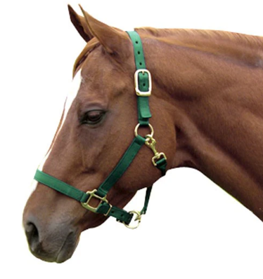 ADJUSTABLE NYLON HALTER