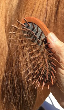 Love Wood Curry Brush