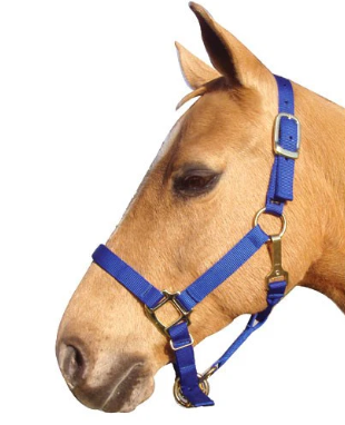 ADJUSTABLE NYLON HALTER