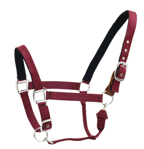 Centaur Breakaway Halter