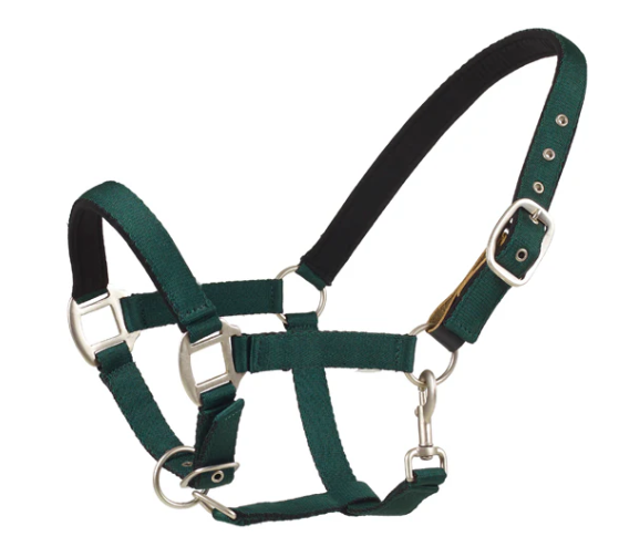 Centaur Breakaway Halter