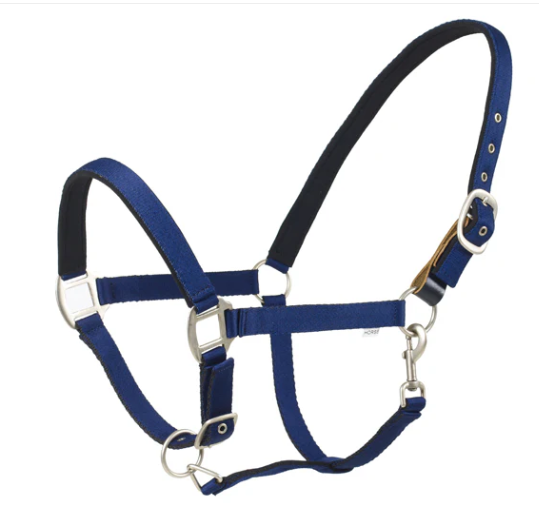 Centaur Breakaway Halter