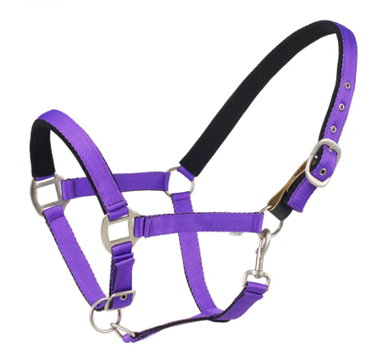 Centaur Breakaway Halter