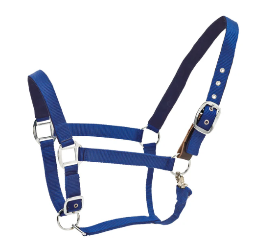 Centaur Breakaway Halter