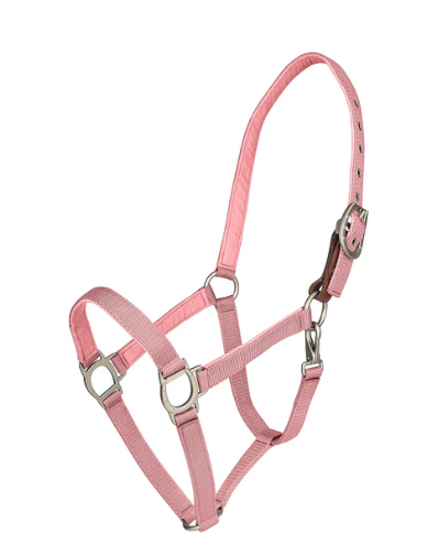 Ovation Lucky Breakaway Halter