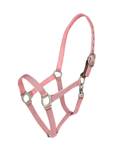 Ovation Lucky Breakaway Halter