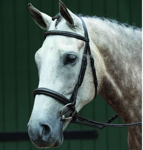 Collegiate Essential Padded Raised Fancy Stitched Bridle