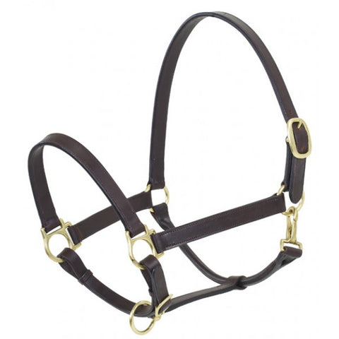 Leather Stable Halter, Brown