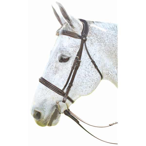 HDR Pro Mono Crown Fancy Padded Bridle w/ Laced Reins