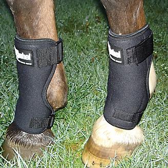 Cashel Stall Sore Boot